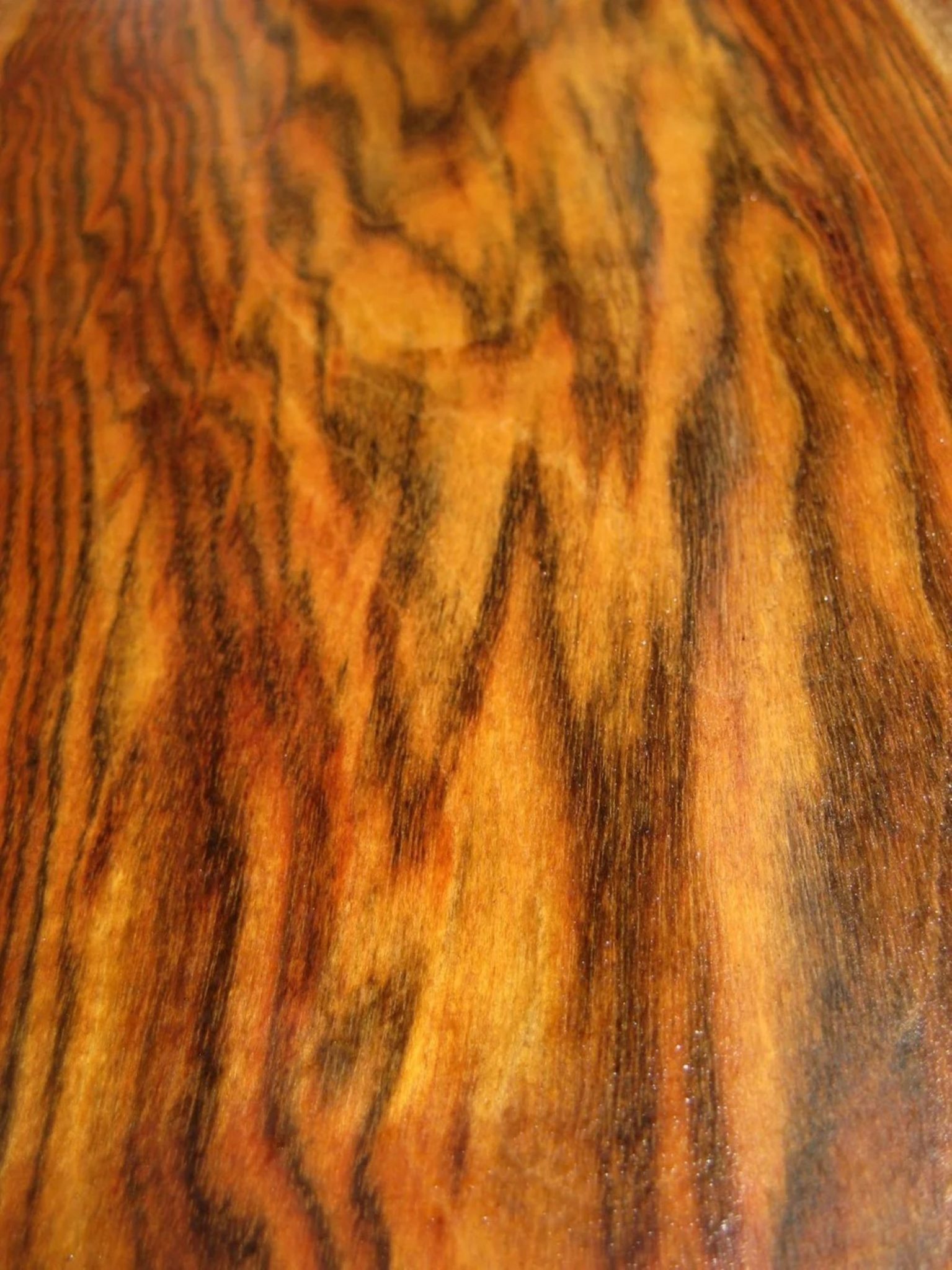 Chechen - Exotic Woods of the World