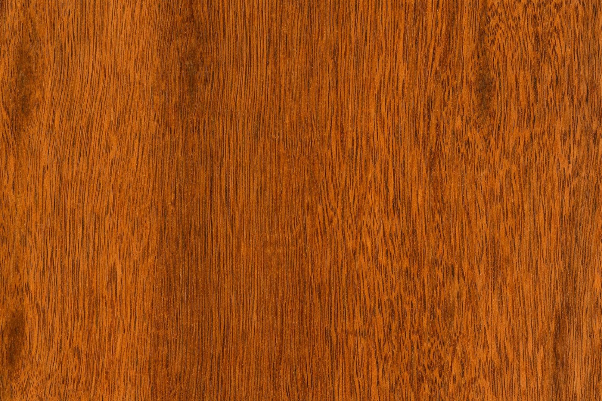 Jarrah - Exotic Woods of the World
