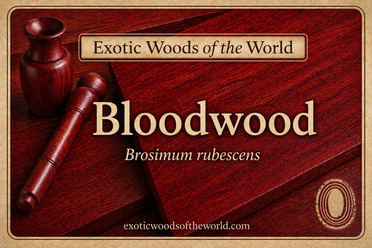 Bloodwood Video