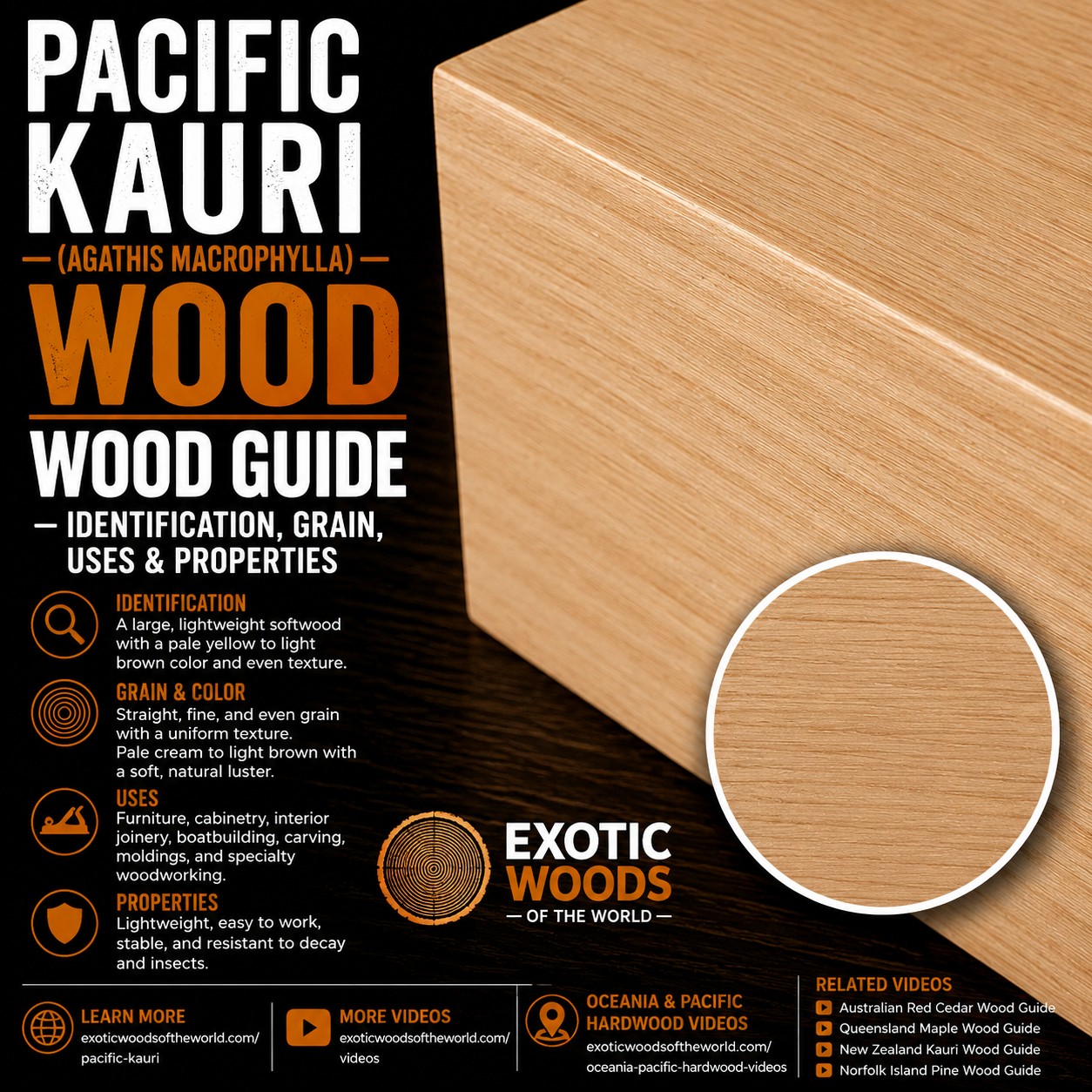 Pacific Kauri Video