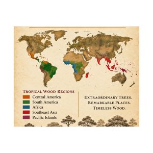 Exotic Woods World Regions Poster